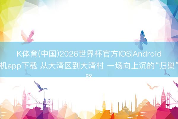 K体育(中国)2026世界杯官方IOS|Android手机app下载 从大湾区到大湾村 一场向上沉的“归巢”路