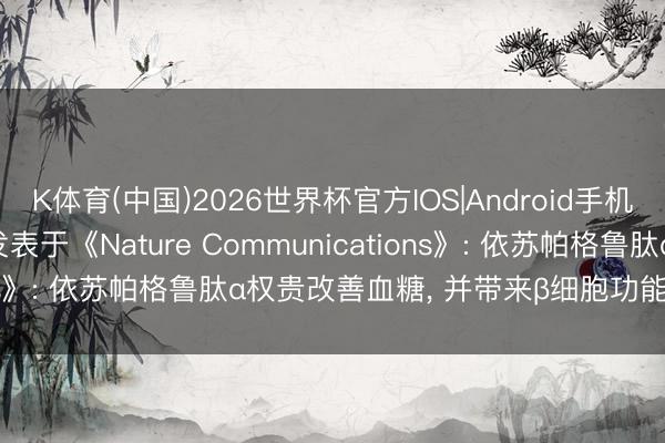K体育(中国)2026世界杯官方IOS|Android手机app下载 SUPER 2发表于《Nature Communications》: 依苏帕格鲁肽α权贵改善血糖， 并带来β细胞功能积极反应