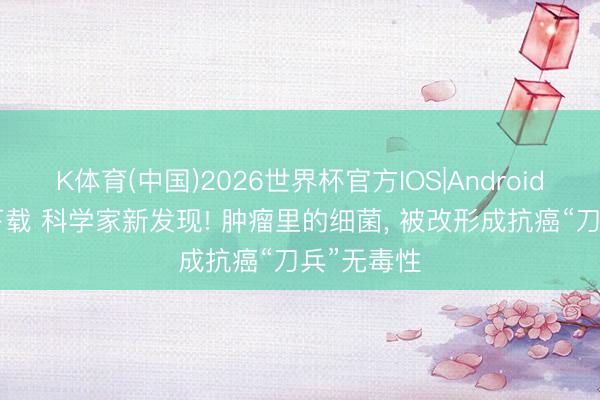 K体育(中国)2026世界杯官方IOS|Android手机app下载 科学家新发现! 肿瘤里的细菌， 被改形成抗癌“刀兵”无毒性