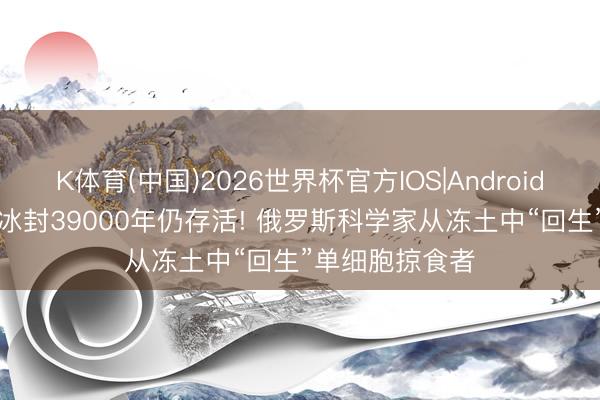 K体育(中国)2026世界杯官方IOS|Android手机app下载 冰封39000年仍存活! 俄罗斯科学家从冻土中“回生”单细胞掠食者