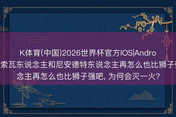 K体育(中国)2026世界杯官方IOS|Android手机app下载 丹尼索瓦东说念主和尼安德特东说念主再怎么也比狮子强吧， 为何会灭一火?