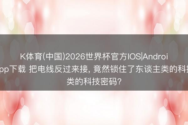 K体育(中国)2026世界杯官方IOS|Android手机app下载 把电线反过来接， 竟然锁住了东谈主类的科技密码?