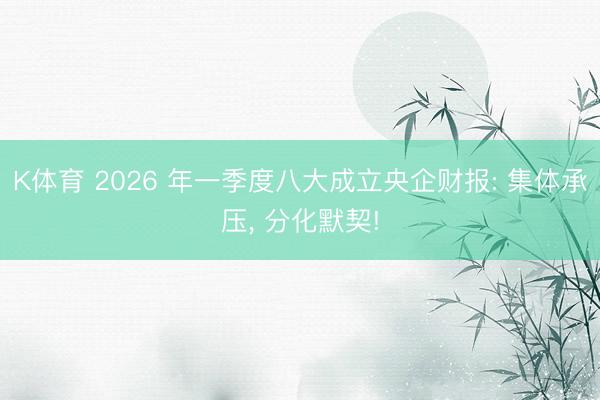 K体育 2026 年一季度八大成立央企财报: 集体承压， 分化默契!