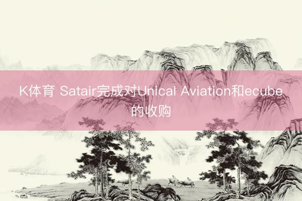 K体育 Satair完成对Unical Aviation和ecube的收购