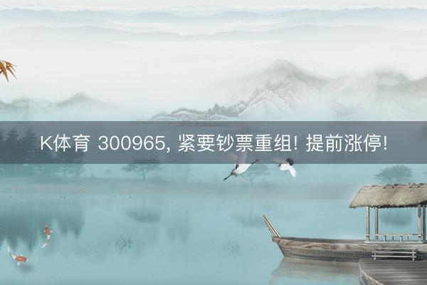 K体育 300965， 紧要钞票重组! 提前涨停!