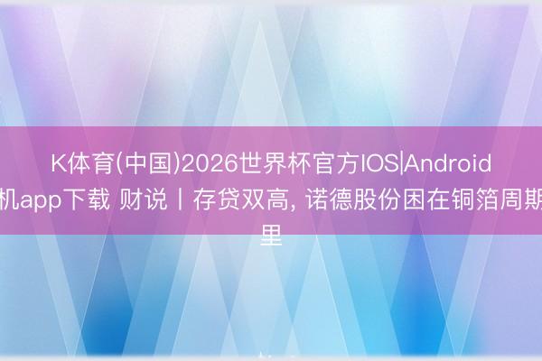 K体育(中国)2026世界杯官方IOS|Android手机app下载 财说丨存贷双高， 诺德股份困在铜箔周期里