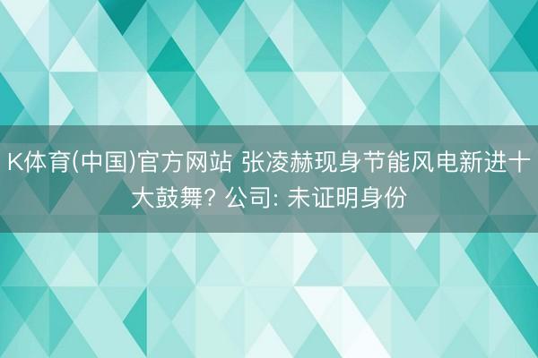 K体育(中国)官方网站 张凌赫现身节能风电新进十大鼓舞? 公司: 未证明身份