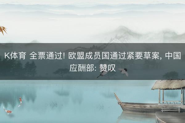 K体育 全票通过! 欧盟成员国通过紧要草案， 中国应酬部: 赞叹