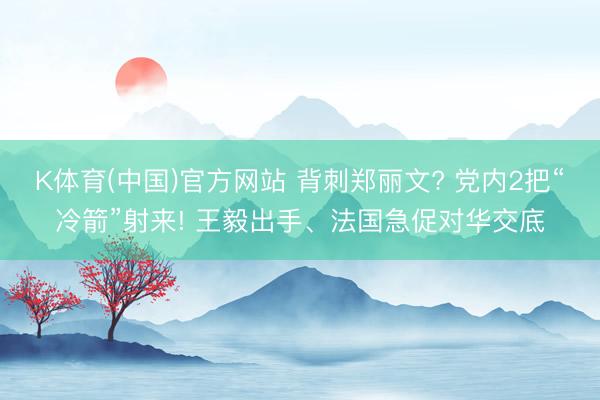 K体育(中国)官方网站 背刺郑丽文? 党内2把“冷箭”射来! 王毅出手、法国急促对华交底