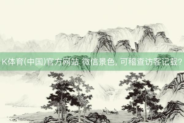 K体育(中国)官方网站 微信景色， 可稽查访客记载?