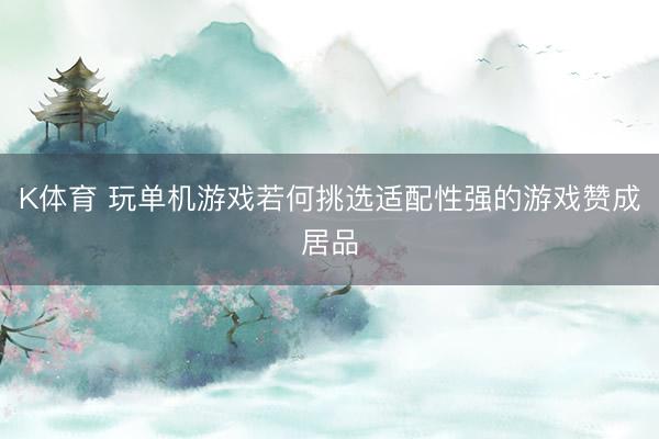 K体育 玩单机游戏若何挑选适配性强的游戏赞成居品