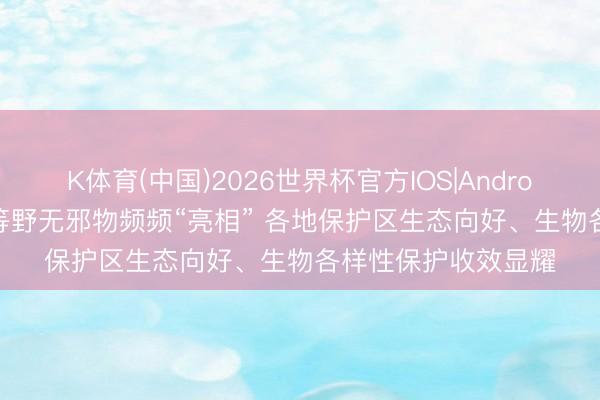 K体育(中国)2026世界杯官方IOS|Android手机app下载 特等野无邪物频频“亮相” 各地保护区生态向好、生物各样性保护收效显耀