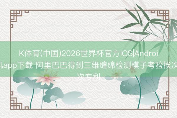K体育(中国)2026世界杯官方IOS|Android手机app下载 阿里巴巴得到三维缠绵检测模子考验挨次专利