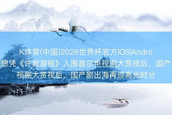 K体育(中国)2026世界杯官方IOS|Android手机app下载 赵露想凭《许我凝视》入围首尔电视剧大赏视后，国产剧出海再迎高光时分