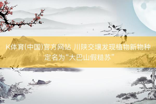 K体育(中国)官方网站 川陕交壤发现植物新物种 定名为“大巴山假糙苏”