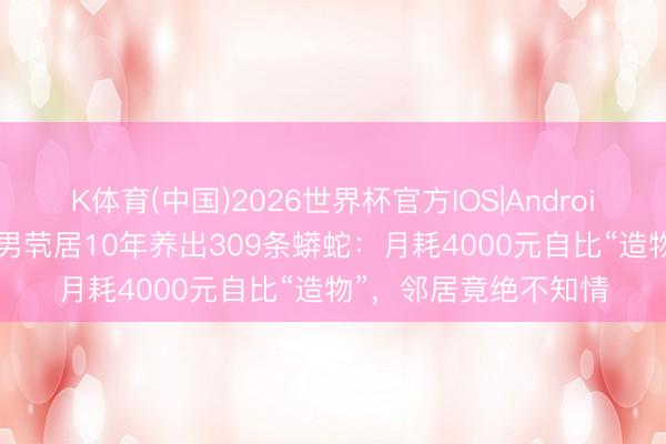 K体育(中国)2026世界杯官方IOS|Android手机app下载 无业男茕居10年养出309条蟒蛇：月耗4000元自比“造物”，邻居竟绝不知情