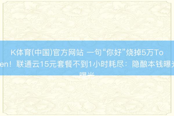 K体育(中国)官方网站 一句“你好”烧掉5万Token！联通云15元套餐不到1小时耗尽：隐酿本钱曝光