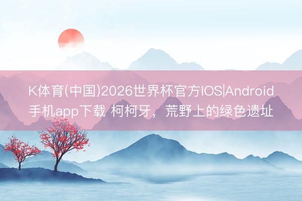 K体育(中国)2026世界杯官方IOS|Android手机app下载 柯柯牙，荒野上的绿色遗址