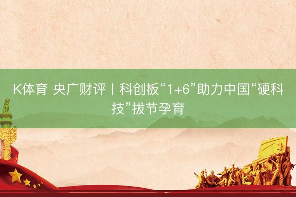 K体育 央广财评丨科创板“1+6”助力中国“硬科技”拔节孕育