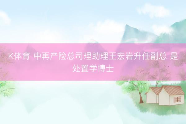 K体育 中再产险总司理助理王宏岩升任副总 是处置学博士